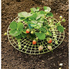 30cmx9.5cm Yellow Plastic Diy Strawberry Plant Mendukung