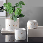 Cangkir indoor nordic 9cm kecil pot bunga keramik putih succulent