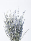 Rangkaian Bunga Lavender 50CM